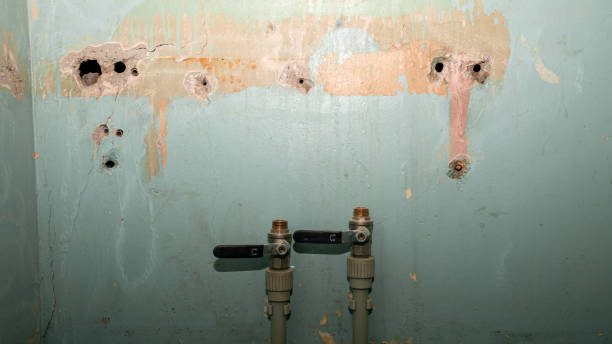 Best Commercial water damage restoration  in West Whittier Los Nietos, CA