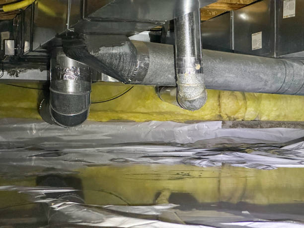 Best Mold removal after water damage  in West Whittier Los Nietos, CA