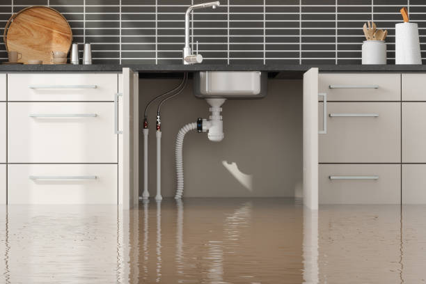 Best Water damage restoration specialists  in West Whittier Los Nietos, CA
