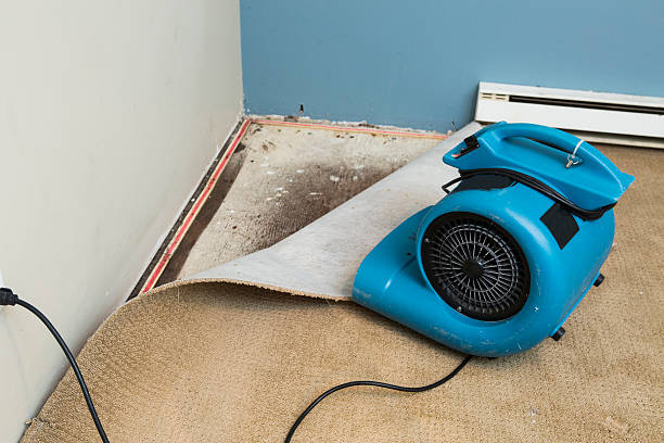Best 24-hour water damage restoration  in West Whittier Los Nietos, CA